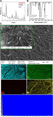 Designing New Material Based on Functionalized Multi-Walled Carbon Nanotubes and Cu(OH)2–Cu2O/Polypyrrole Catalyst for Ethanol Oxidation in Alkaline Medium